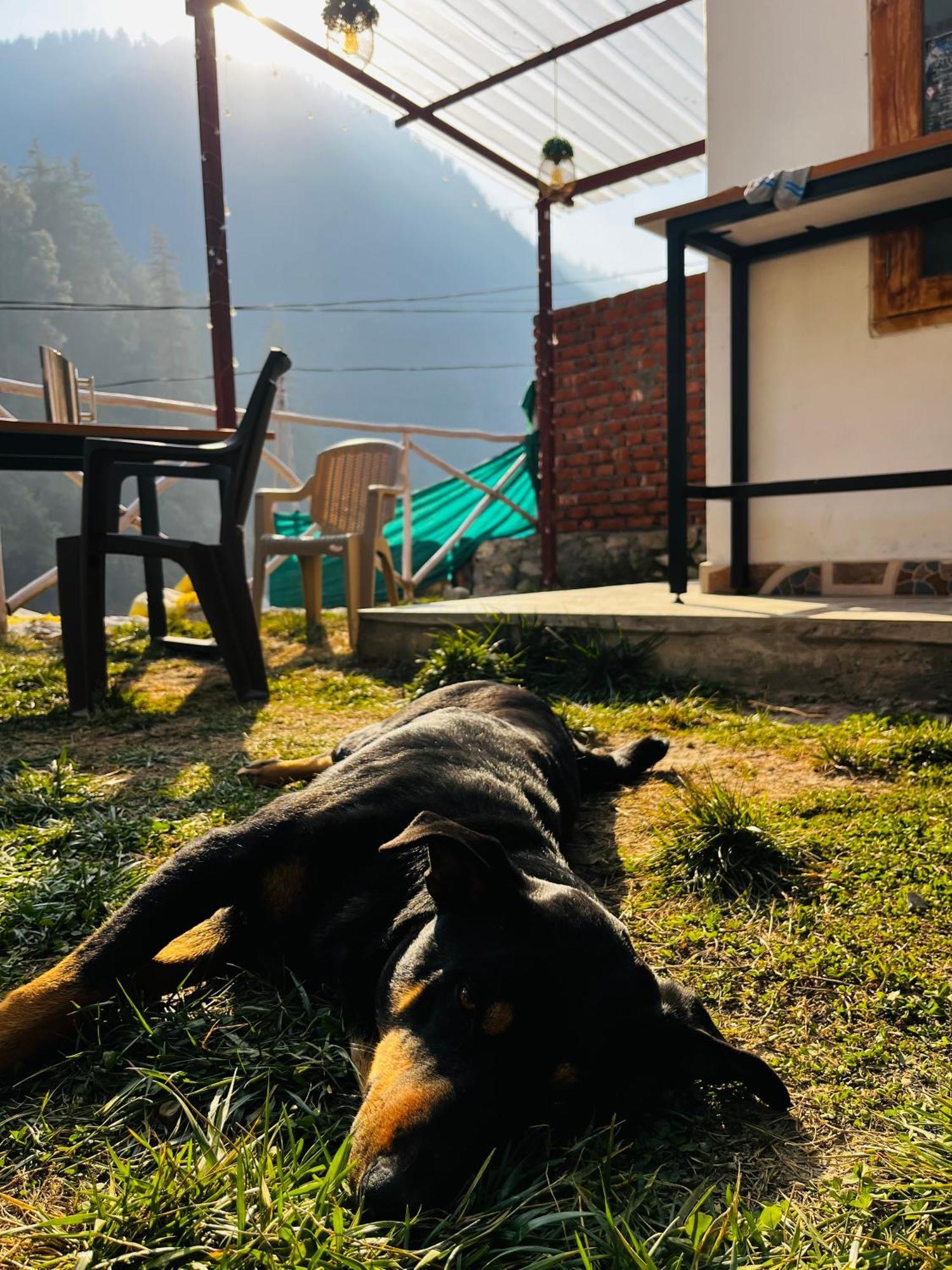 Hotel Adinova Kasol Exterior photo